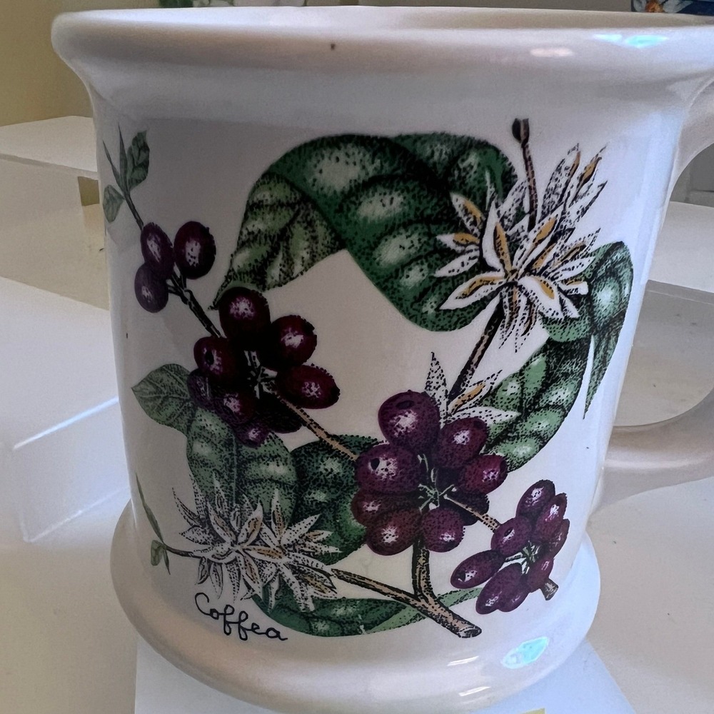 Lauffer Japan Coffee History Mug Botanical Coffea Plant Berries Script White Cup